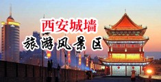 日逼一看免费中国陕西-西安城墙旅游风景区