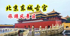 www,干逼中国北京-东城古宫旅游风景区